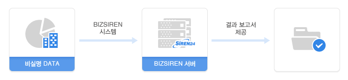 비실명 data → (BIZSIREN 시스템) → BIZSIERN 서버 → (결과 보고서 전송) → 완료