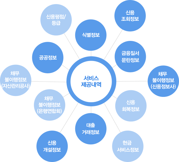 서비스 제공내역 : 식별정보, 신용평점/등급, 채무 불이행정보(은행연합회), 금융질서 문란정보, 공공정보, 신용조회정보, 신용회복정보, 현금 서비스정보, 대출거래정보, 신용개설정보, 채무 불이행정보(자산관리공사), 채무 불이행정보(신용정보사)