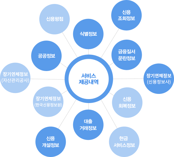 서비스 제공내역 : 식별정보, 신용평점, 장기연체정보(한국신용정보원), 금융질서 문란정보, 공공정보, 신용조회정보, 신용회복정보, 현금 서비스정보, 대출거래정보, 신용개설정보, 장기연체정보(자산관리공사), 장기연체정보(신용정보사)